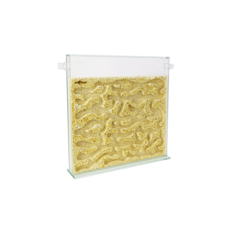 ANTCUBE - Popcorn Nest 30x30 - L